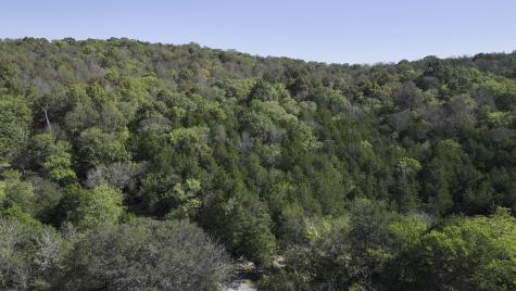 0 Winfree Lane Brush Creek TN 38547