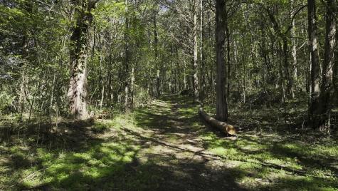0 Winfree Lane Brush Creek TN 38547