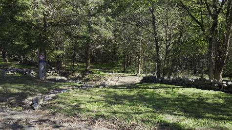 0 Winfree Lane Brush Creek TN 38547