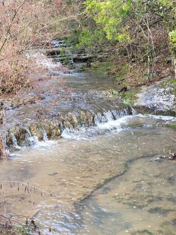 0 Winfree Lane Brush Creek TN 38547