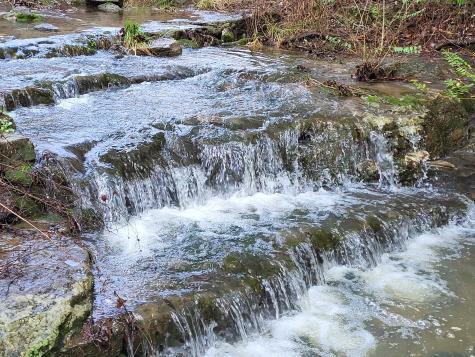 0 Winfree Lane Brush Creek TN 38547