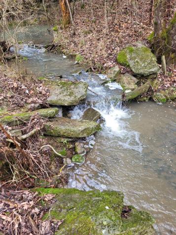 0 Winfree Lane Brush Creek TN 38547