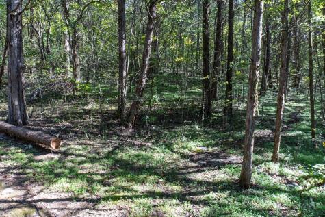 0 Winfree Lane Brush Creek TN 38547