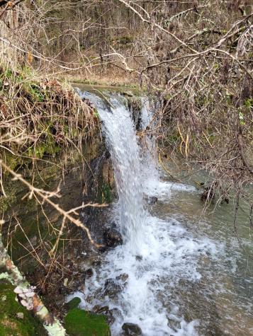 0 Winfree Lane Brush Creek TN 38547