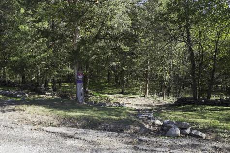 0 Winfree Lane Brush Creek TN 38547