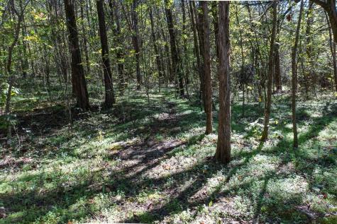 0 Winfree Lane Brush Creek TN 38547