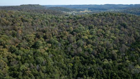 0 Winfree Lane Brush Creek TN 38547