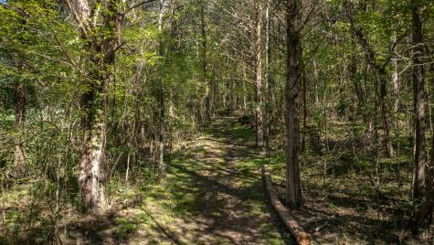 0 Winfree Lane Brush Creek TN 38547