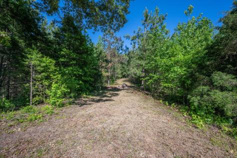 967 Little Jim Drive Camden TN 38320