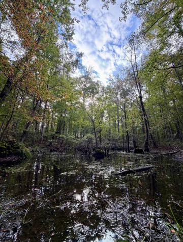 1 Three Forks Road South Pittsburg TN 37380