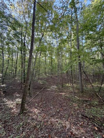 1 Three Forks Road South Pittsburg TN 37380