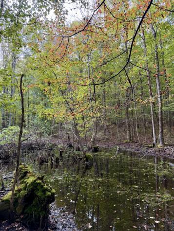 1 Three Forks Road South Pittsburg TN 37380