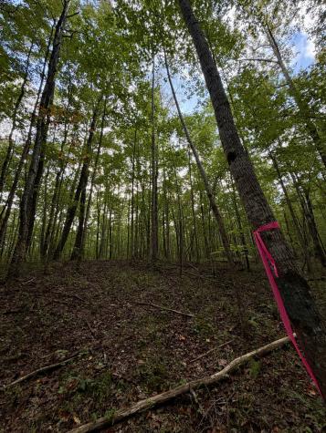 1 Three Forks Road South Pittsburg TN 37380