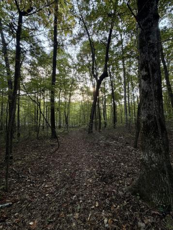 1 Three Forks Road South Pittsburg TN 37380