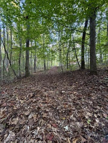 1 Three Forks Road South Pittsburg TN 37380