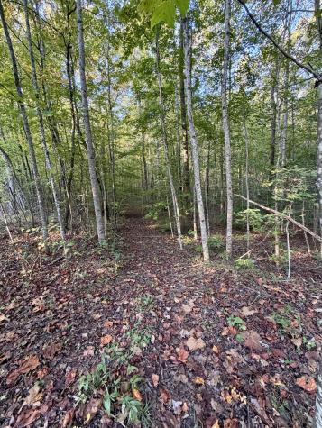 1 Three Forks Road South Pittsburg TN 37380