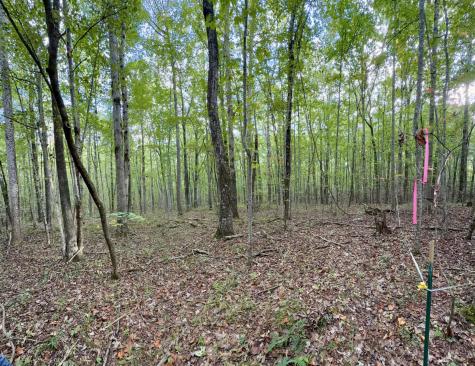 1 Three Forks Road South Pittsburg TN 37380