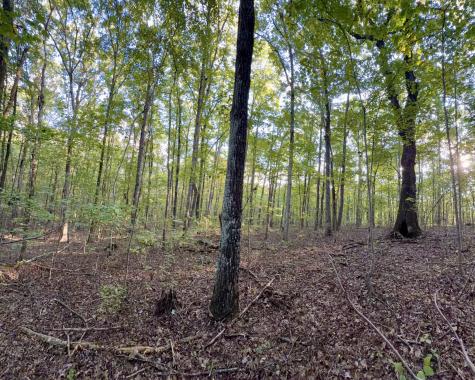 1 Three Forks Road South Pittsburg TN 37380