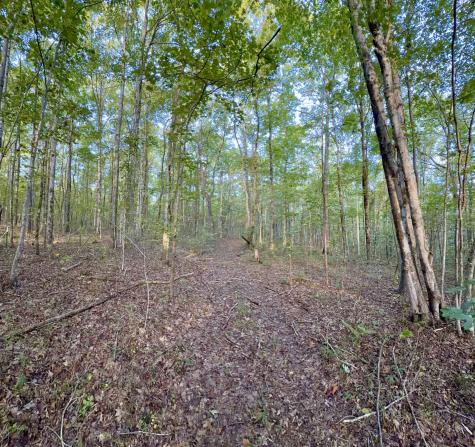 1 Three Forks Road South Pittsburg TN 37380