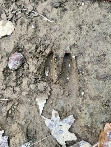 1 Three Forks Road South Pittsburg TN 37380