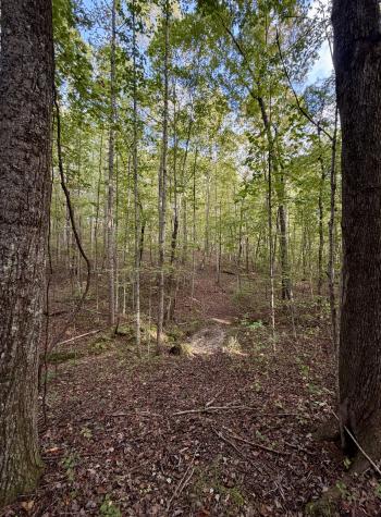 1 Three Forks Road South Pittsburg TN 37380