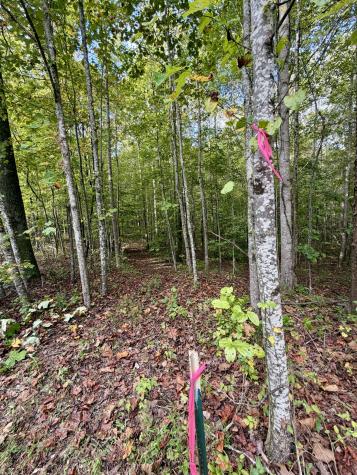 1 Three Forks Road South Pittsburg TN 37380