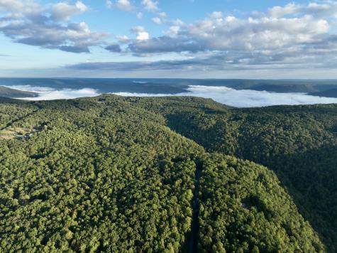 1 Three Forks Road South Pittsburg TN 37380