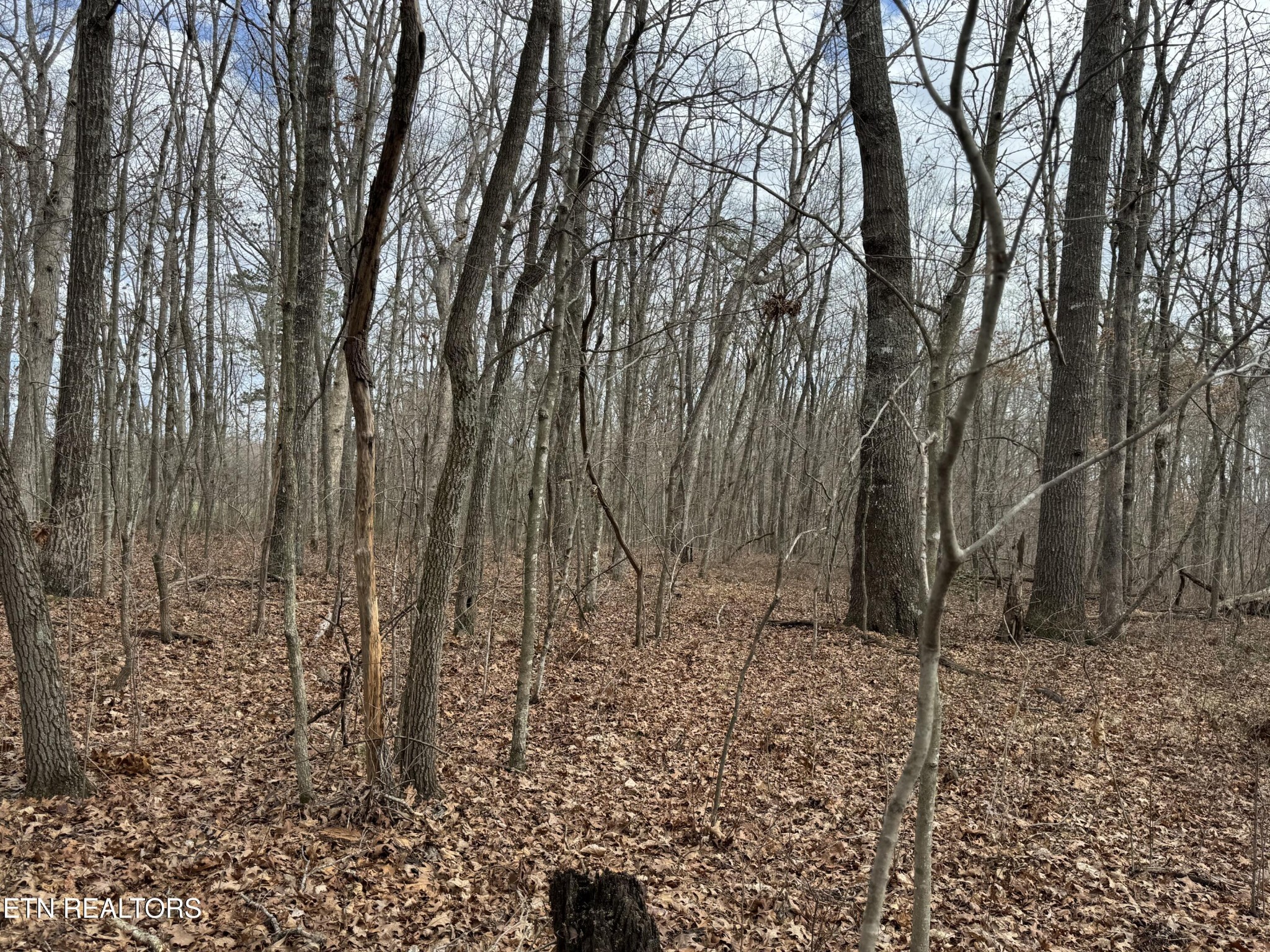 1261 Roanoke Road Jamestown TN 38556