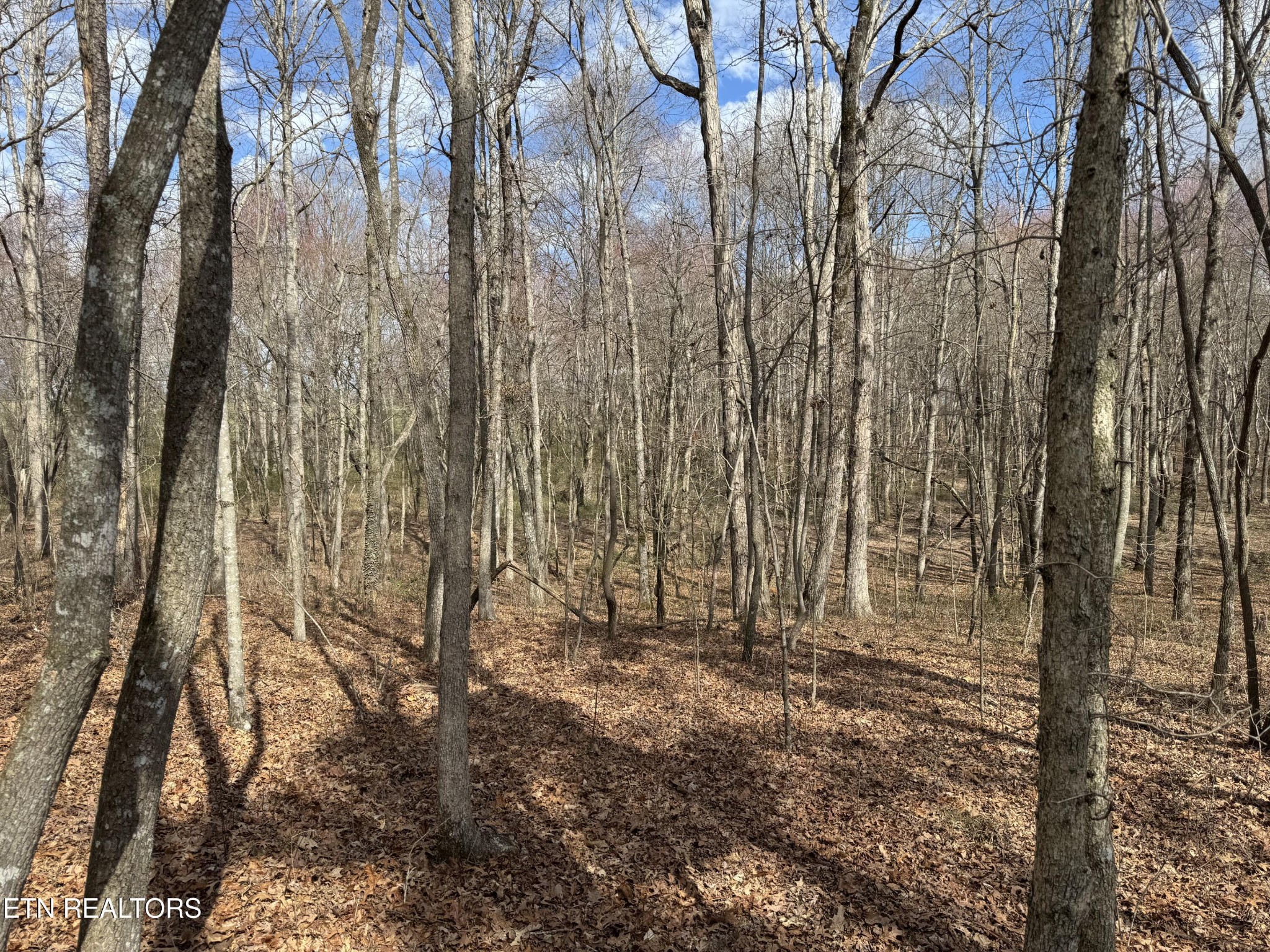 1261 Roanoke Road Jamestown TN 38556