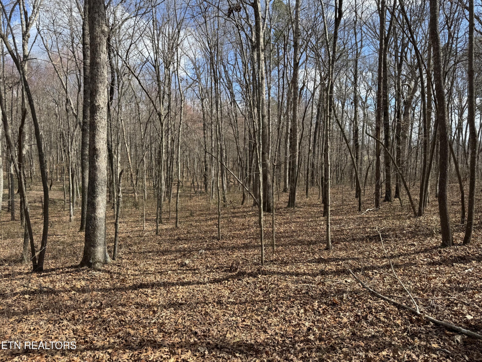 1261 Roanoke Road Jamestown TN 38556