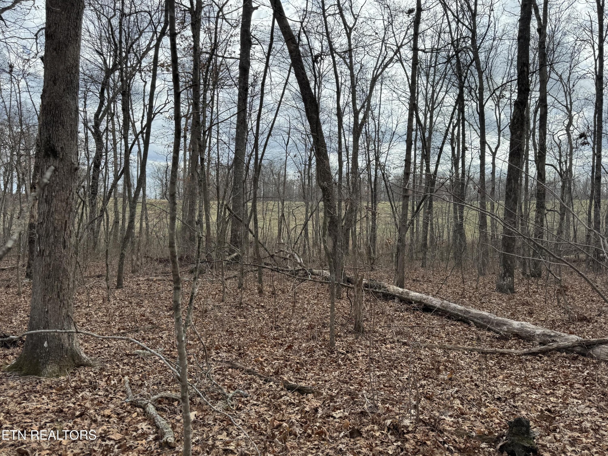 1261 Roanoke Road Jamestown TN 38556