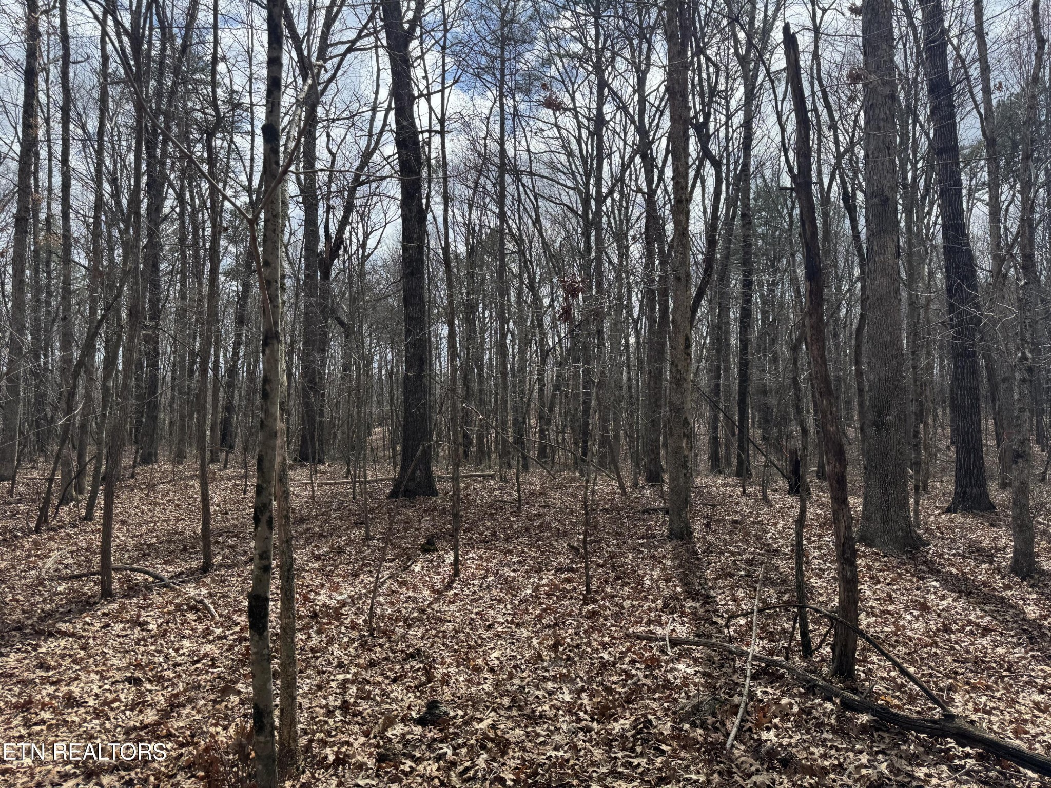 1261 Roanoke Road Jamestown TN 38556