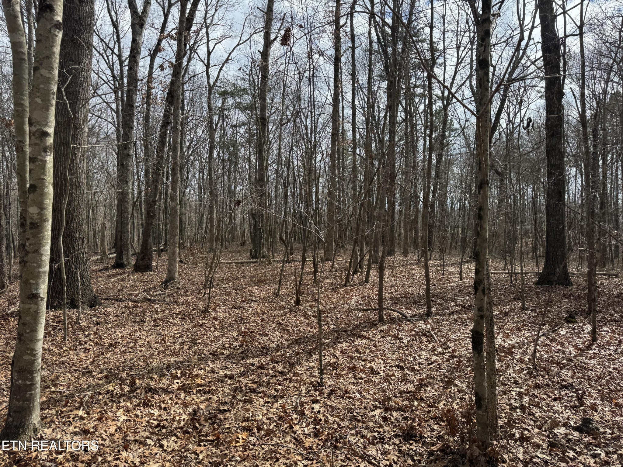 1261 Roanoke Road Jamestown TN 38556