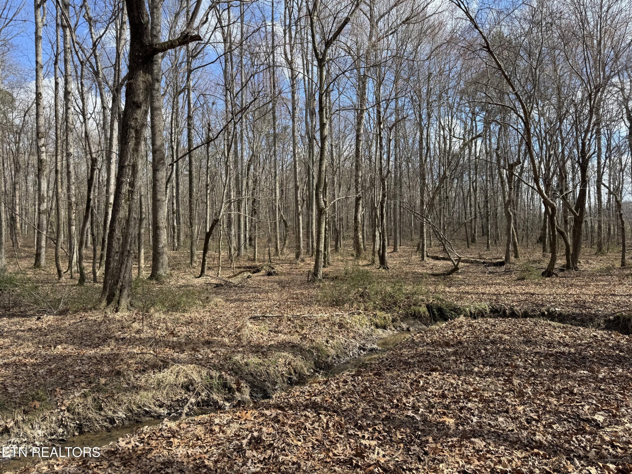 1261 Roanoke Road Jamestown TN 38556