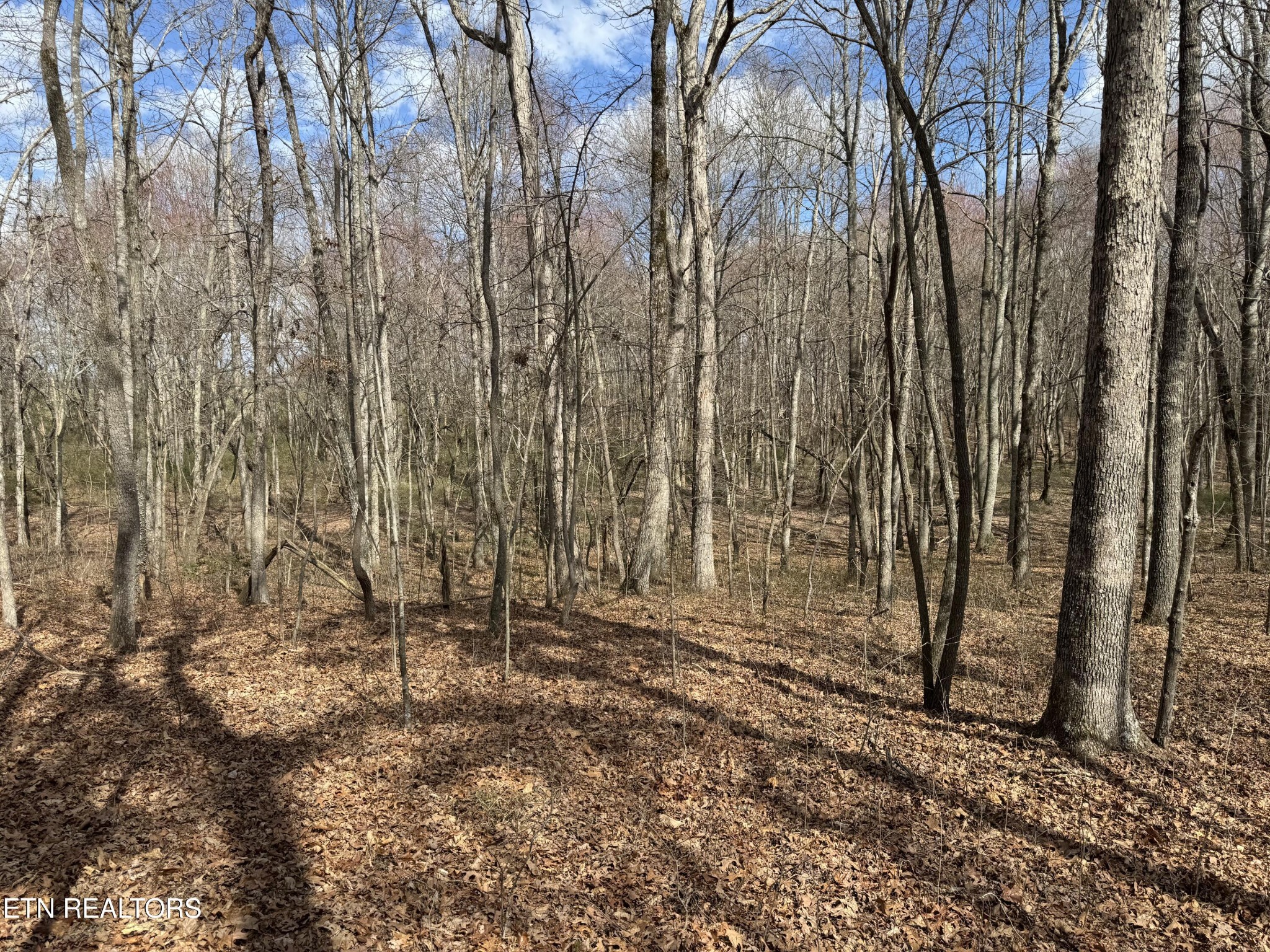 1261 Roanoke Road Jamestown TN 38556