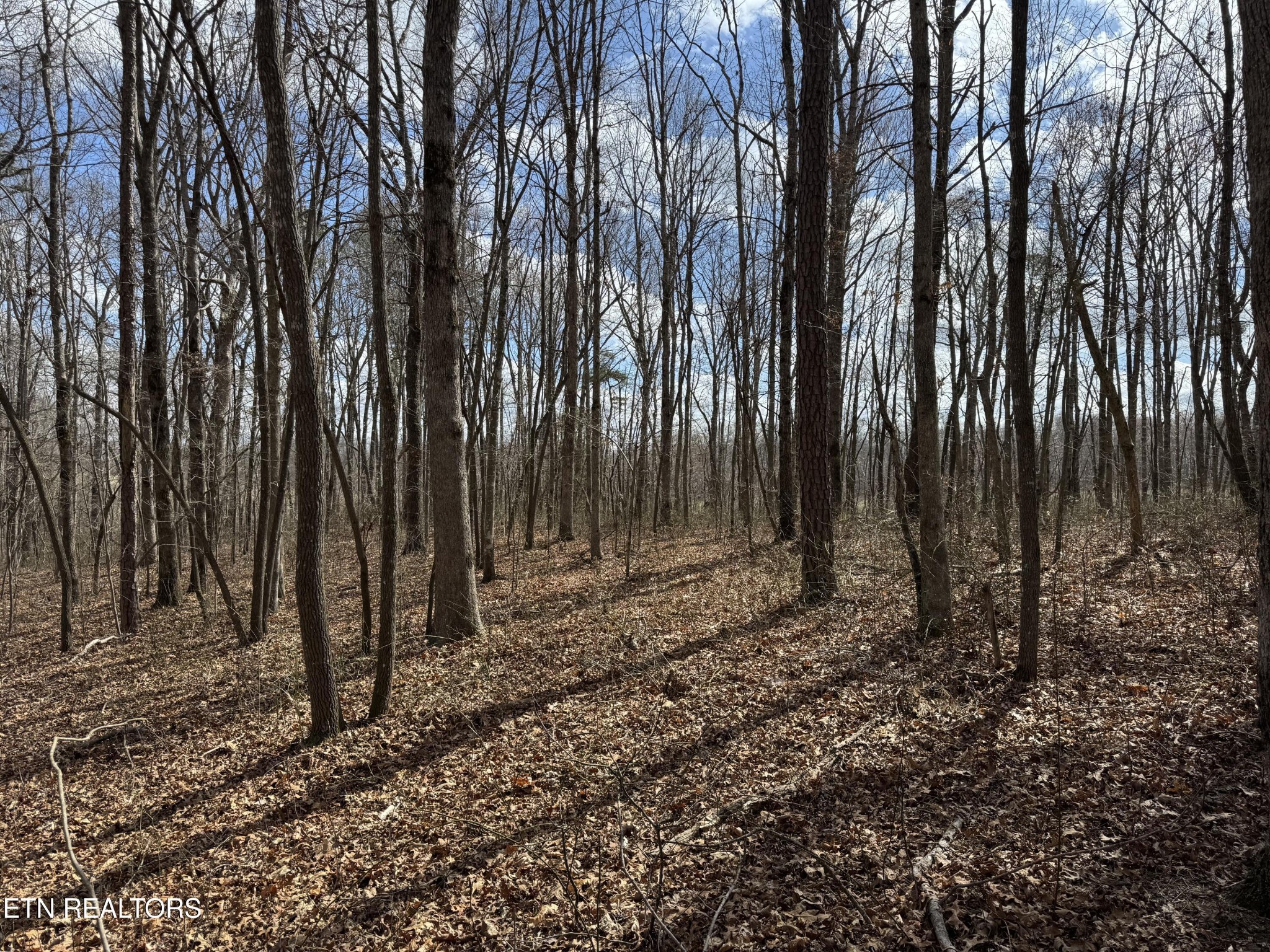 1261 Roanoke Road Jamestown TN 38556
