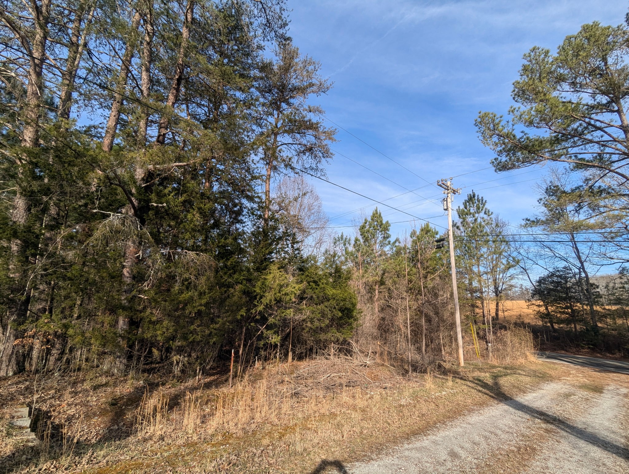 0 Jefferson Road Smithville TN 37166