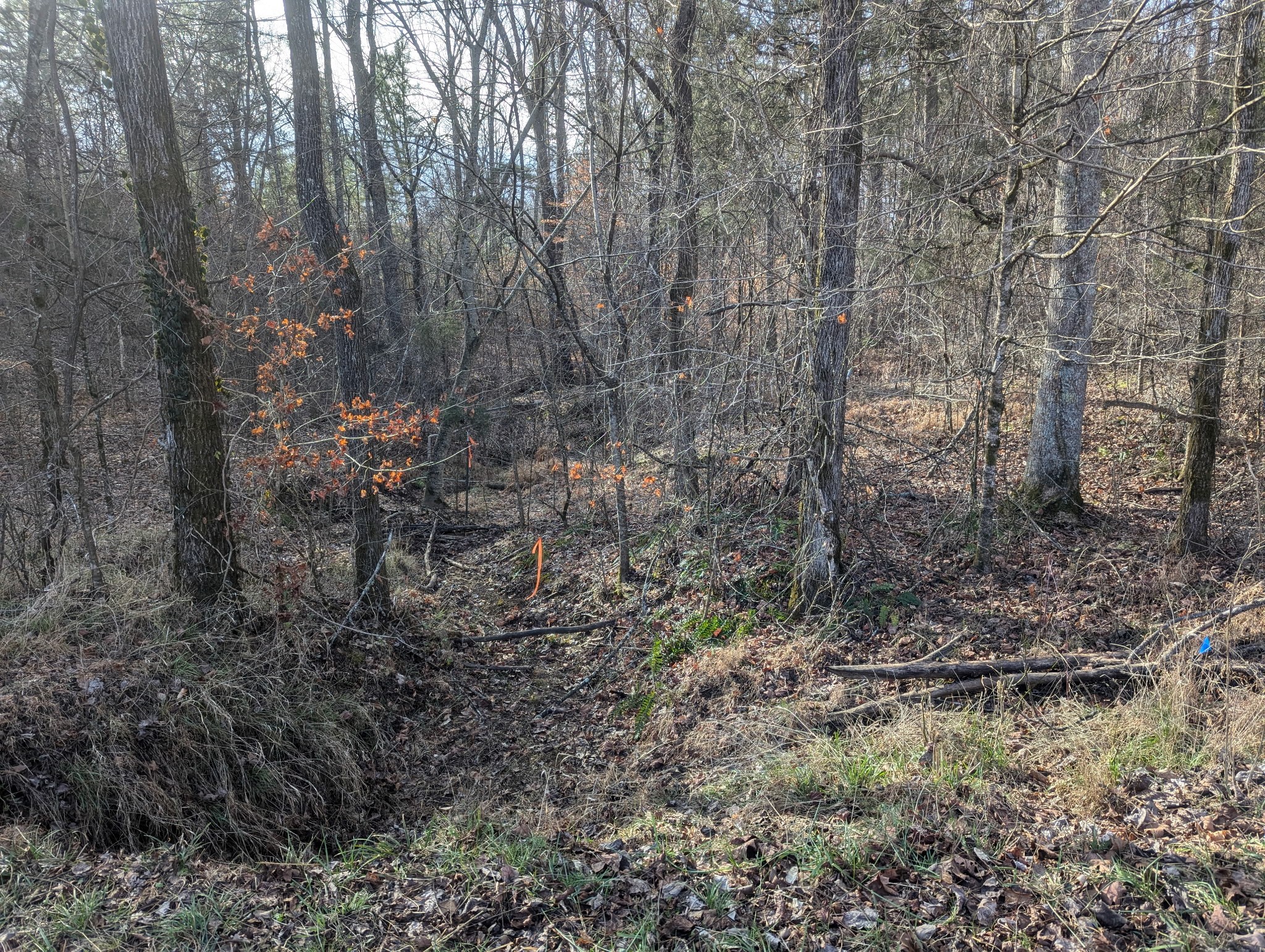 0 Jefferson Road Smithville TN 37166