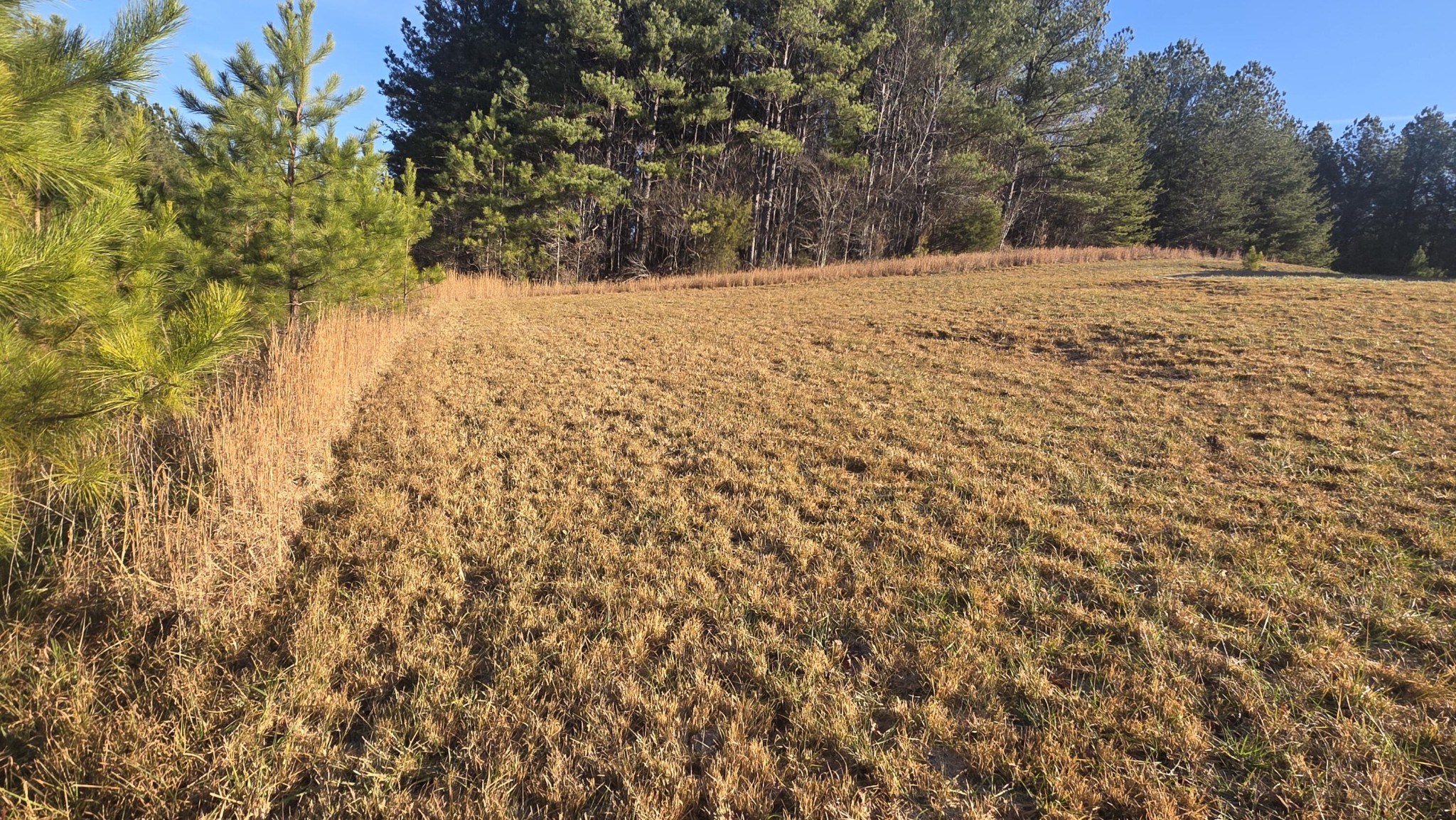 122 White Water Run Lane Ocoee TN 37361