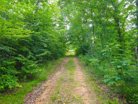 152 Cascade Spring Road Hohenwald TN 38462