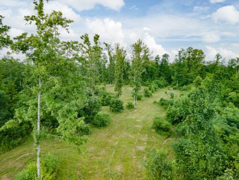 152 Cascade Spring Road Hohenwald TN 38462