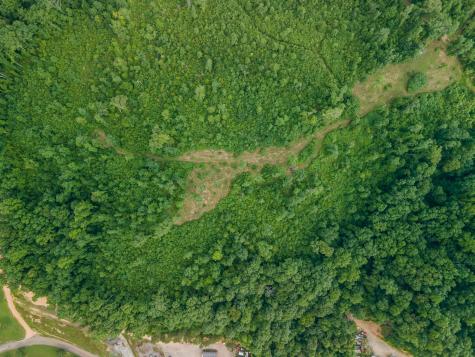 152 Cascade Spring Road Hohenwald TN 38462