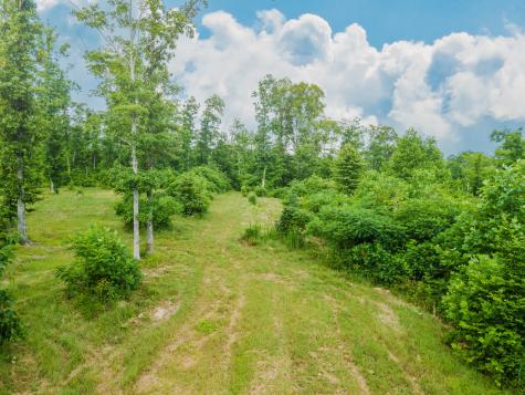 152 Cascade Spring Road Hohenwald TN 38462