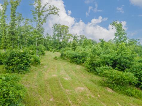 152 Cascade Spring Road Hohenwald TN 38462