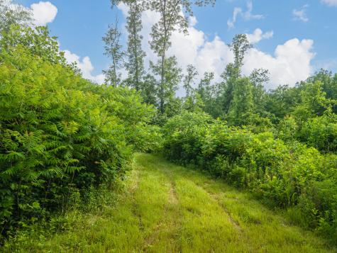 152 Cascade Spring Road Hohenwald TN 38462