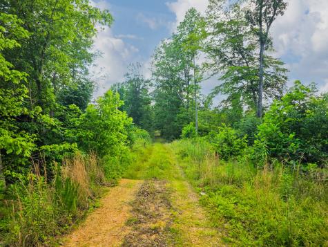 152 Cascade Spring Road Hohenwald TN 38462