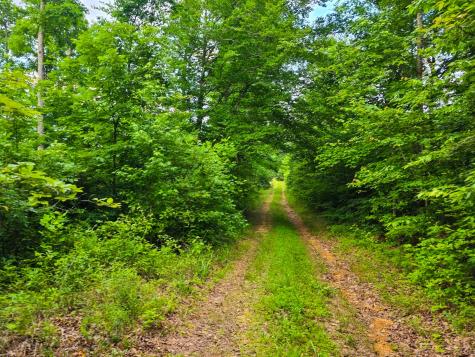 152 Cascade Spring Road Hohenwald TN 38462