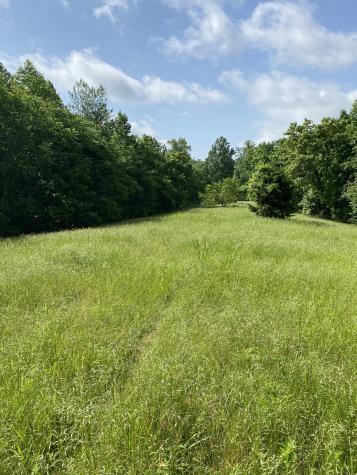 1995 Hanna Branch Road Prospect TN 38477