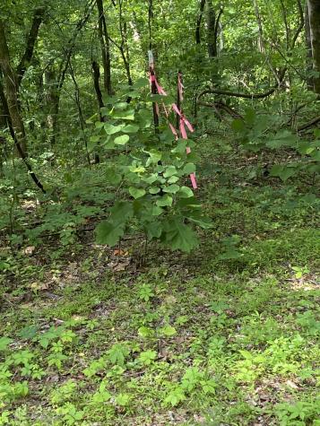 1995 Hanna Branch Road Prospect TN 38477