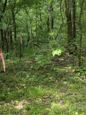 1995 Hanna Branch Road Prospect TN 38477